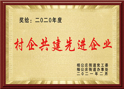 華東榮譽-村企共建先進企業