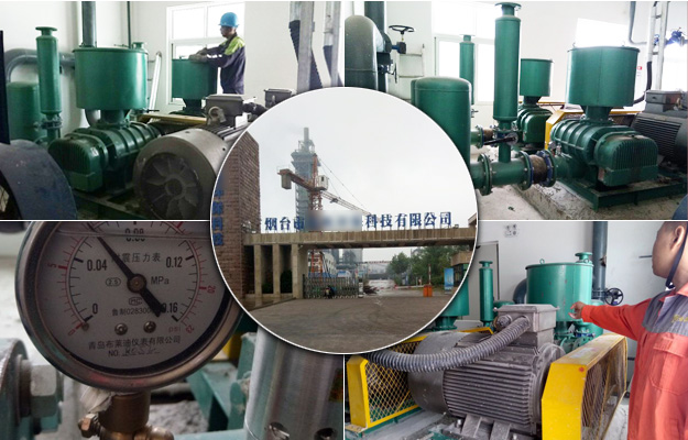 華東山東羅茨風機案例-煙臺**環保科技有限公司